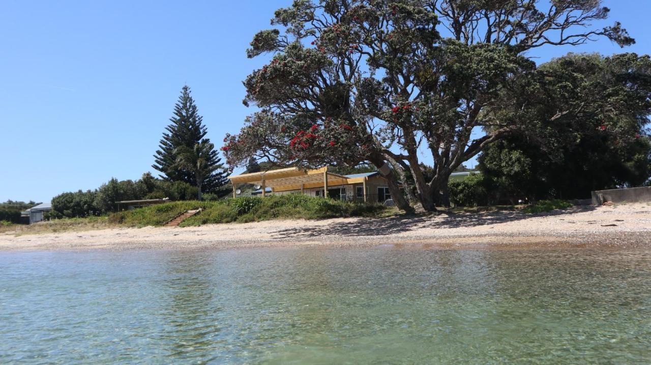 Mount And Surf View Cabin Pataua エクステリア 写真