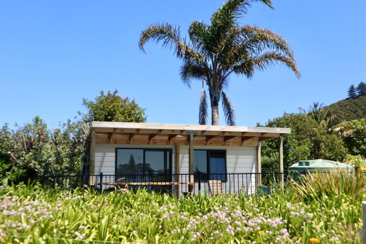 Mount And Surf View Cabin Pataua エクステリア 写真