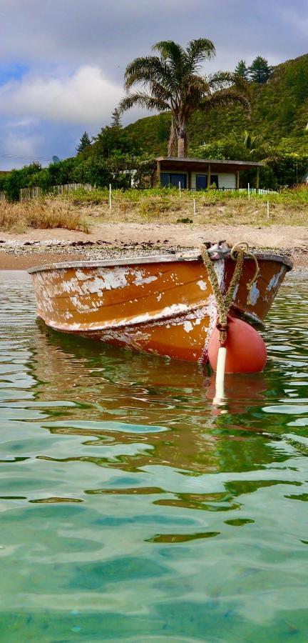 Mount And Surf View Cabin Pataua エクステリア 写真